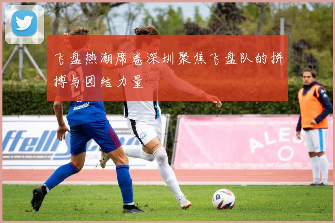 飞盘热潮席卷深圳聚焦飞盘队的拼搏与团结力量