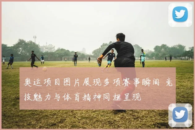 奥运项目图片展现多项赛事瞬间 竞技魅力与体育精神同框呈现