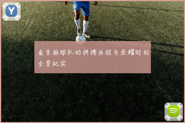 南京排球队的拼搏历程与荣耀时刻全景纪实