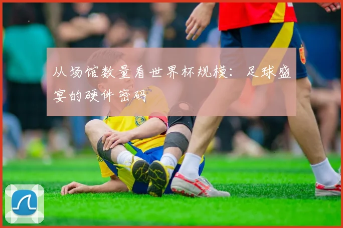 从场馆数量看世界杯规模：足球盛宴的硬件密码
